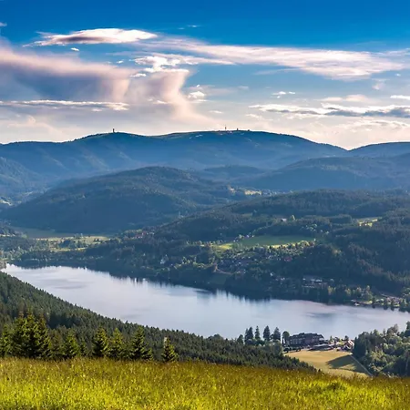 Haus Wiesenquelle - 1 Schlüchtsee, Feldberg Apartamento Rinken