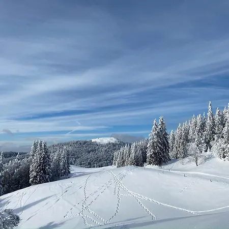 Haus Wiesenquelle - 1 Schlüchtsee, Feldberg Apartamento