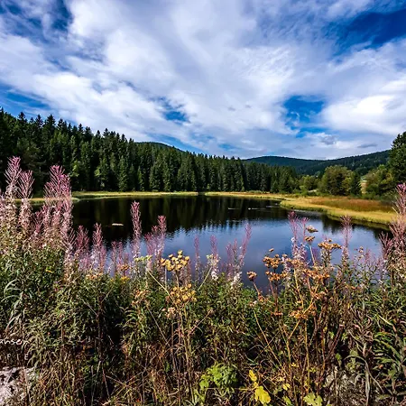 Haus Wiesenquelle - 1 Schlüchtsee, Feldberg Apartamento *