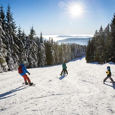 Haus Wiesenquelle - 1 