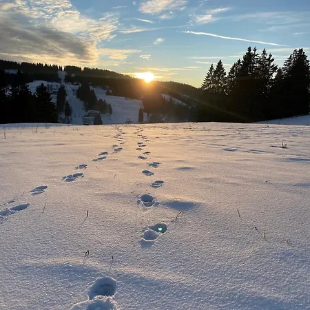 Haus Wiesenquelle - 1 