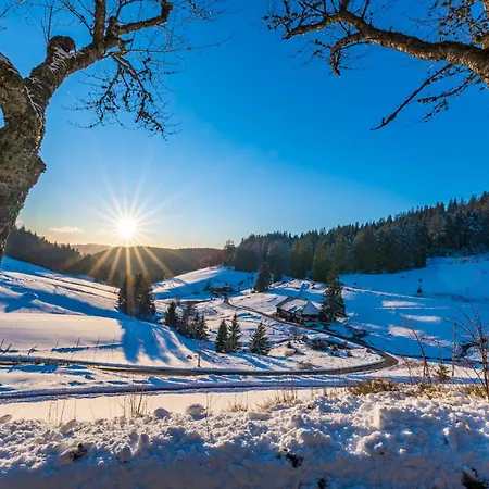 Haus Wiesenquelle - 1 Schlüchtsee, Feldberg